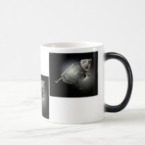 Nasa Orbiter mugs