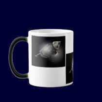 Nasa Orbiter mugs