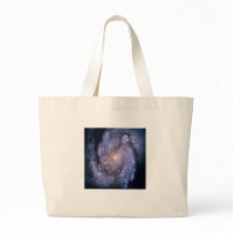 NASA - Spiral Galaxy M100 bags