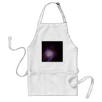 NASA - Star-Burst Spiral Galaxy NGC3310 aprons