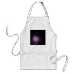 NASA - Star-Burst Spiral Galaxy NGC3310 aprons