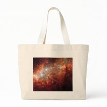 NASA - Supernova Bonanza in Nearby Galaxy NGC1569 bags by LisasLair NASA - Supernova Bonanza in Nearby Galaxy NGC1569 bags