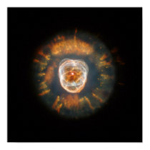 NASA - The Eskimo Nebula (NGC 2392) posters