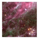NASA - The Hodge 301 Cluster - Tarantula Nebula posters