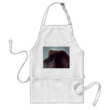 NASA - The Horsehead Nebula Apron