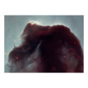 NASA - The Horsehead Nebula posters by LisasLair NASA - The Horsehead Nebula posters