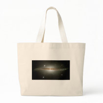 NASA - Warped Edge-On Galaxy ESO510 - G13 bags