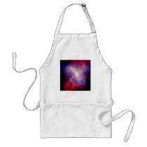 NASA - X-Ray & Optical Images of the Crab Nebula aprons