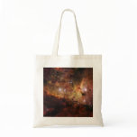 NASAs Carina bags