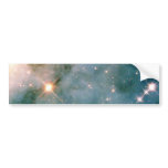 NASAs Carina Bumper Stickers