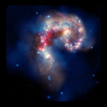 NASAs NGC 4038-4039 Galaxy posters