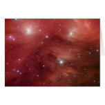NASAs - Pink Pleiades Cards
