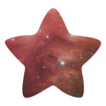 NASAs - Pink Pleiades Sticker