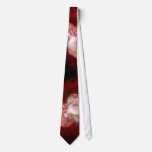 NASAs Supernova ties