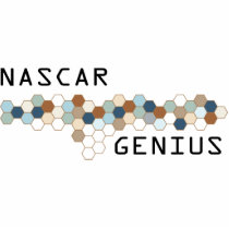NASCAR Genius photo sculptures