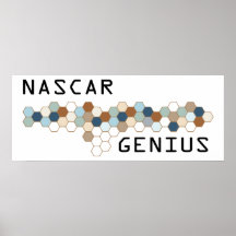 NASCAR Genius Posters