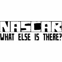 NASCAR What Else Is There? photo sculptures
