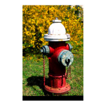 Nashville fire hydrant posters by drjwtaylor Nashville fire hydrant posters