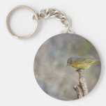 Nashville warbler key chain