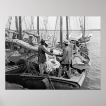 Nassau Sponge Fleet, 1900 Posters