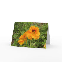 Nasturtium cards