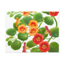 Nasturtium Flowers 2010 Pocket Calendar postcards by twopurringcats Nasturtium Flowers 2010 Pocket Calendar postcards