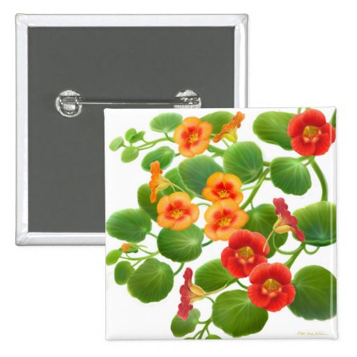 Nasturtium Garden Flowers Pin