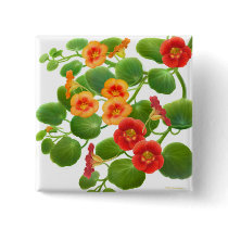 Nasturtium Garden Flowers Pin buttons