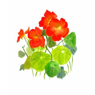 Nasturtium Ladies T-shirt shirt