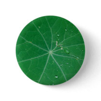 nasturtium leaf buttons