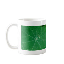 nasturtium leaf mugs
