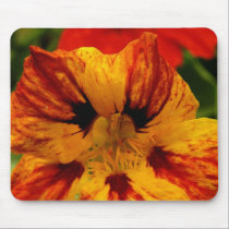 Nasturtium mousepads