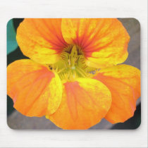 Nasturtium mousepads