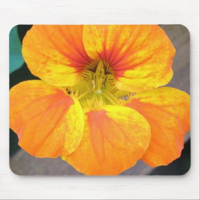 Nasturtium Mouse Mat by ggbythebay
