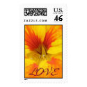 Nasturtium postage