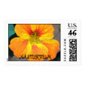 NASTURTIUM Stamp