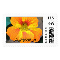 NASTURTIUM Stamp