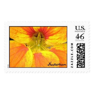 Nasturtium Stamp by ggbythebay