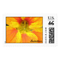 Nasturtium Stamp