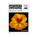 Nasturtium Stamp