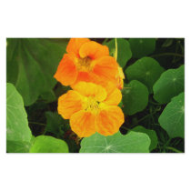 Nasturtium Personalized Stationery