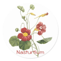 Nasturtium stickers