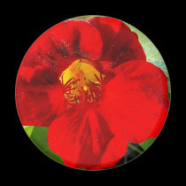 Nasturtium-upclose magnets
