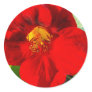 Nasturtium-upclose Stickers