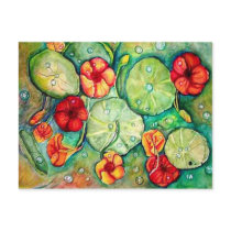 Nasturtium Water Fantasy postcards