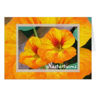 Nasturtiums card