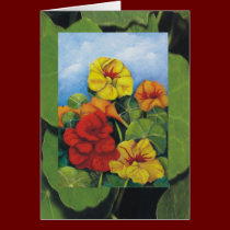 Nasturtiums cards