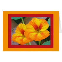 Nasturtiums cards