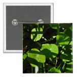 Nasturtiums decorated with light and shade pinback button
