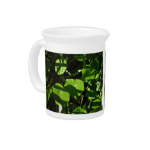 Nasturtiums decorated with light and shade beverage pitchers